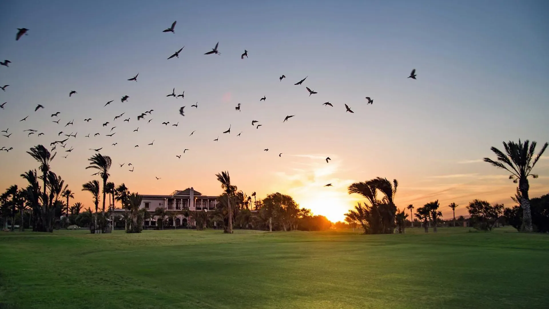 Pickalbatros Hotel Du Golf - Adults Friendly 16 Years Plus- All-Inclusive Marrakesh 5*,