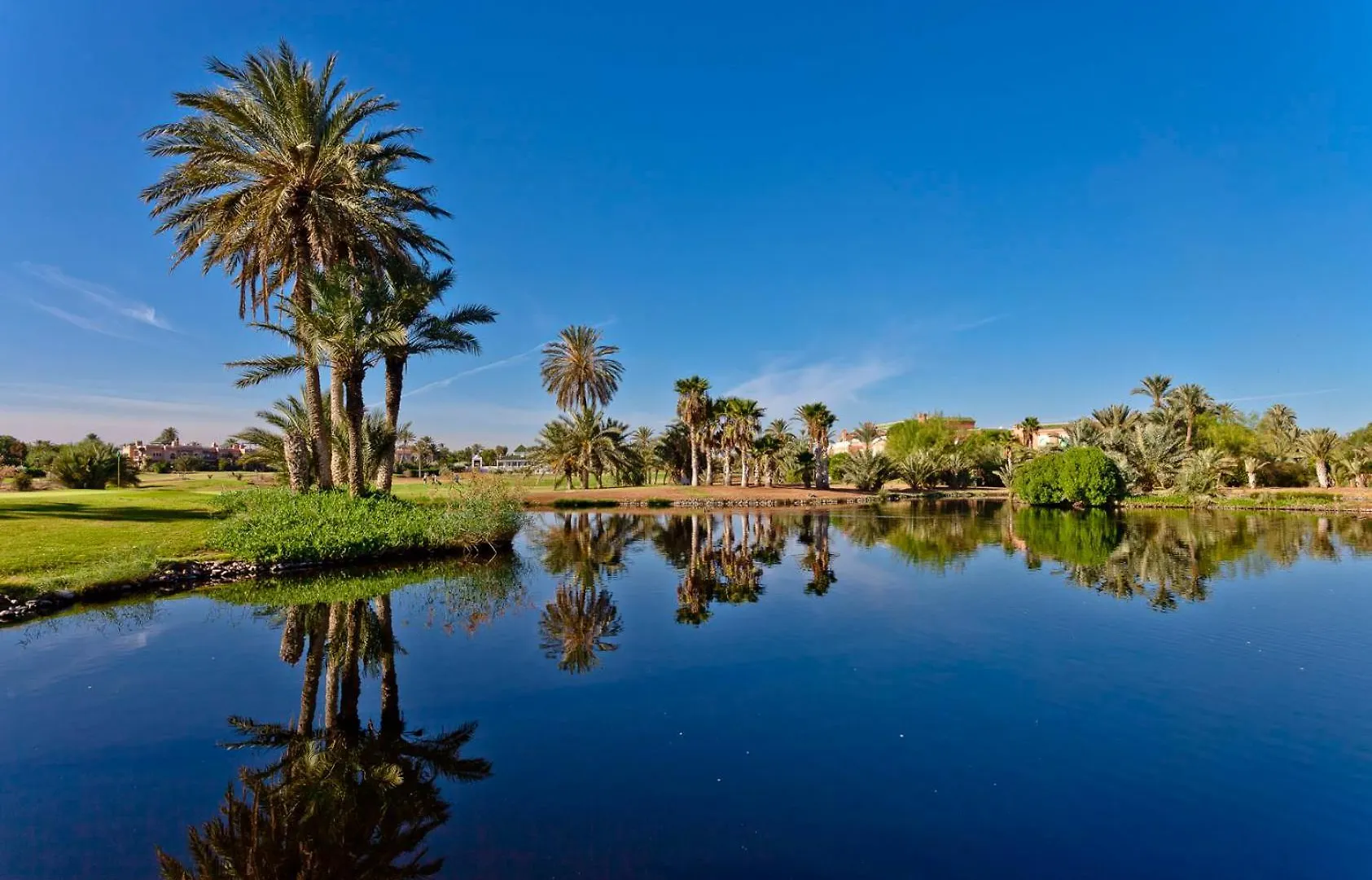 Hôtel Du Golf Rotana Palmeraie Marrakesh 5*,